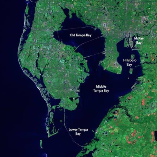 tampa fl map - ALTA SURVEY Tampa tampa bay map