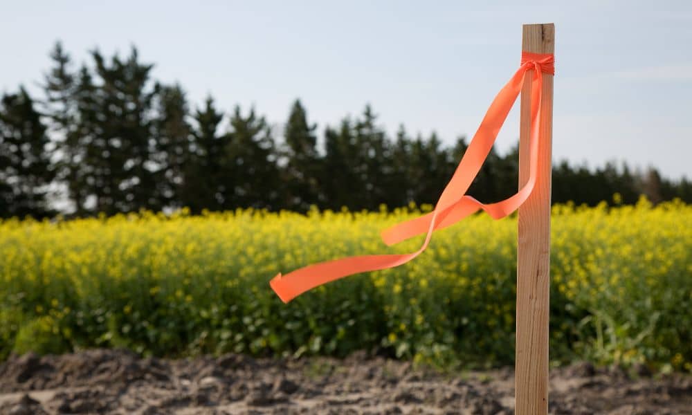 Wooden stake with orange ribbon used in a property line survey to mark land boundaries
