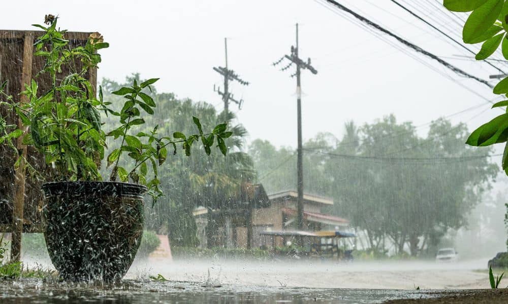 Heavy rain flooding a neighborhood street illustrating flood risk and the need for an elevation certificate