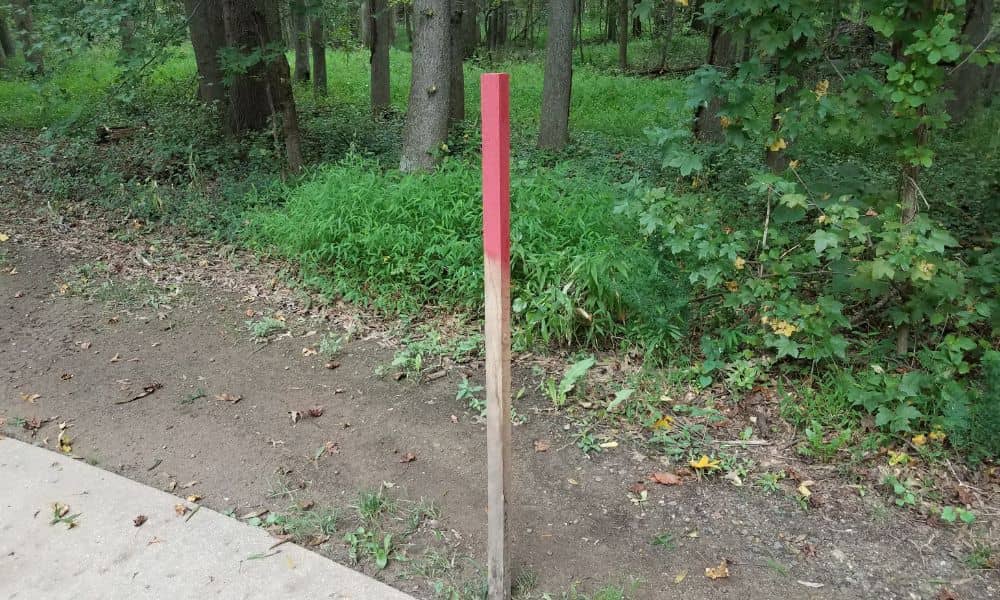 Cadastral surveyor boundary stake marking a property line near wooded land