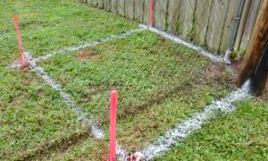 Backyard survey stakes fence layout - ALTA SURVEY Tampa Residential surveyor marking backyard layout for a fence with visible survey stakes and boundary lines