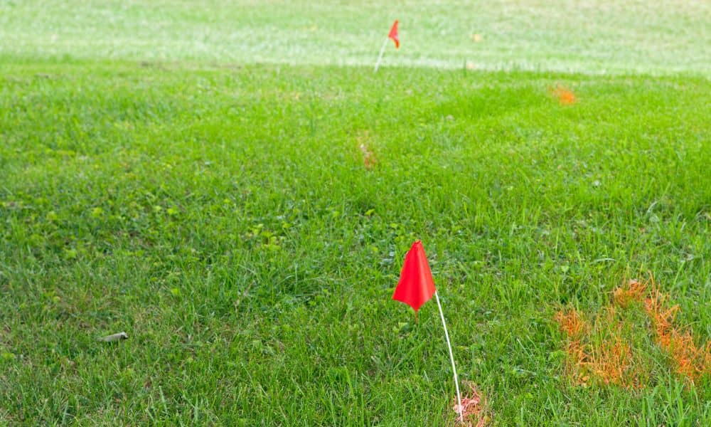 Survey stakes placed in a residential yard during a road widening project referenced in the plat of survey