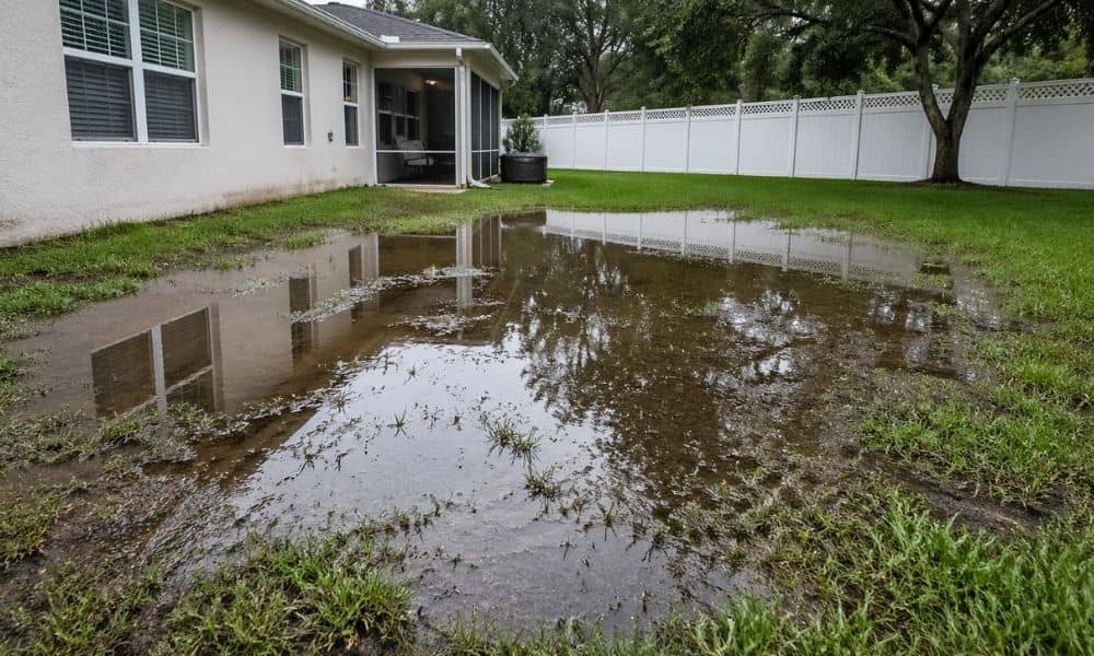Water pooling in a flat backyard near a house after rain, showing poor drainage and uneven ground